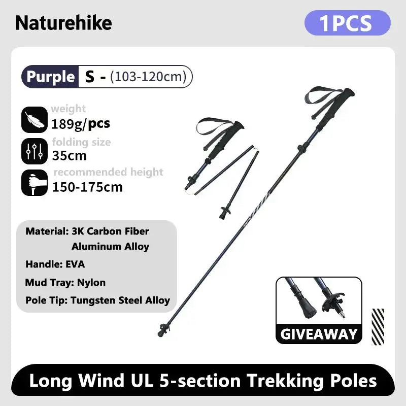 Collapsible Climbing Pole
