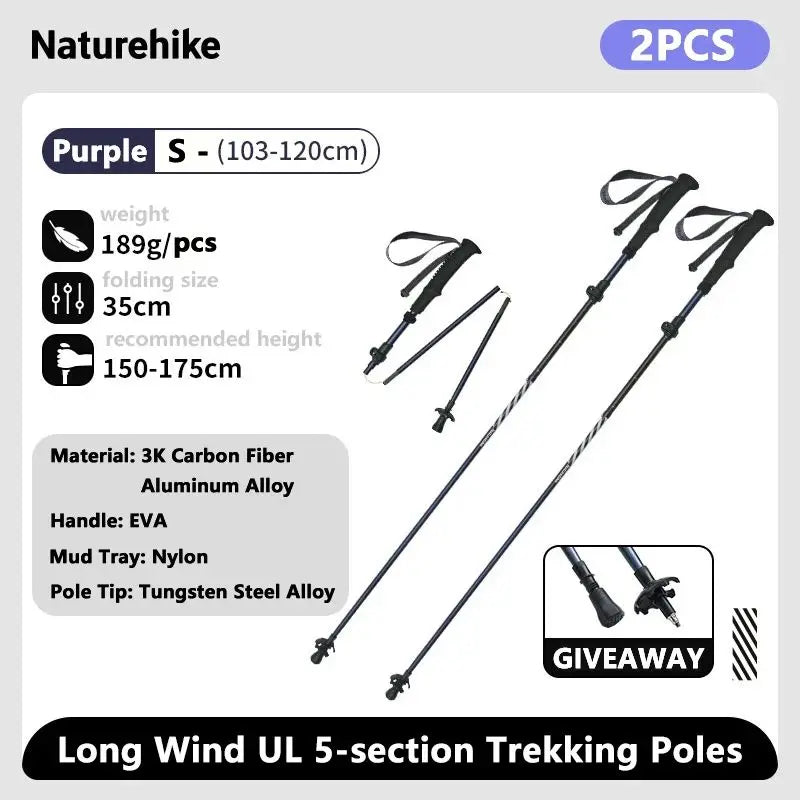 Collapsible Climbing Pole